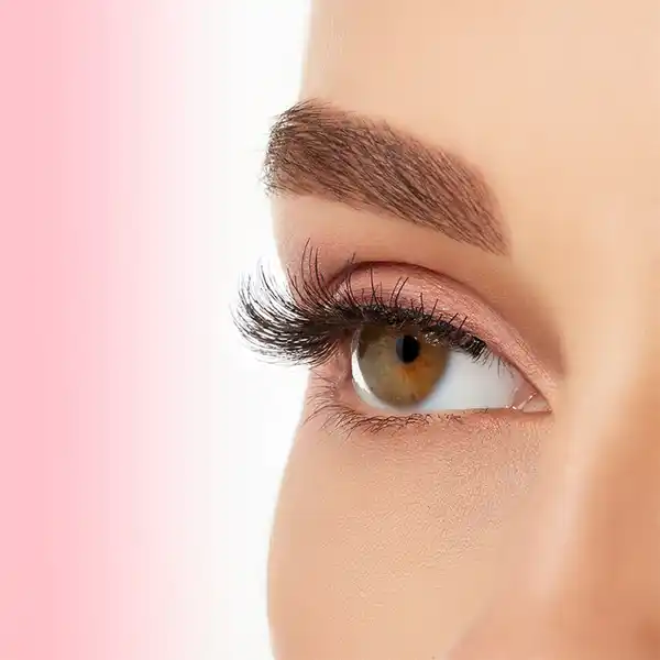 Multipack Demi Wispies Black Wimpern