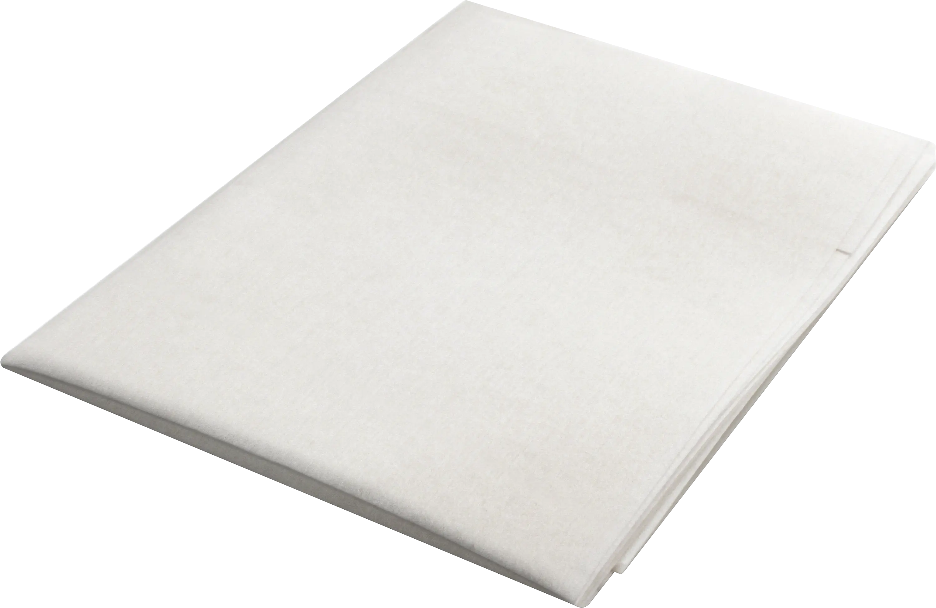 Vetfilter voor Afzuigkappen - 28 x 54,5 cm DHZ2140 11005748 • DHZ2140
