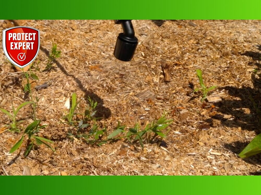 Proherbiopav5 | désherbant polyvalent prêt-à-verser | 5l | format écon