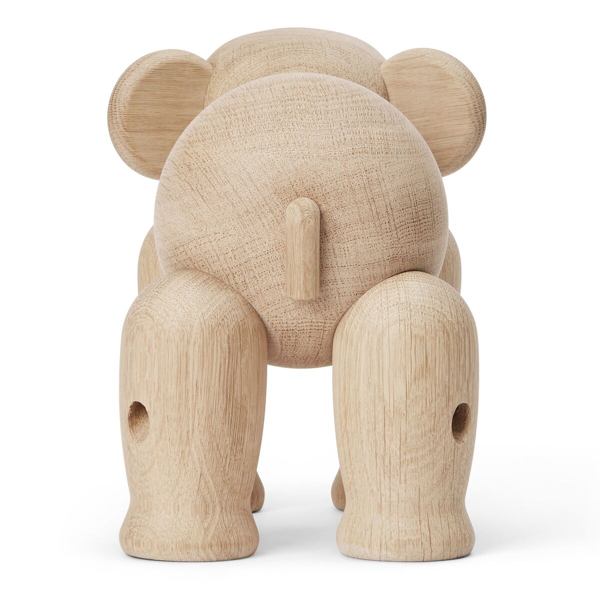 Elefant stor, eik