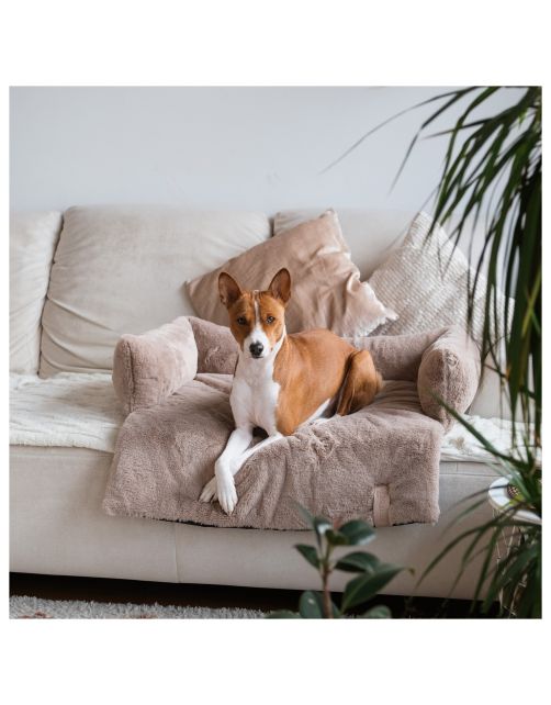 District 70 Nuzzle Sofa Bed Taupe - Hondenbank