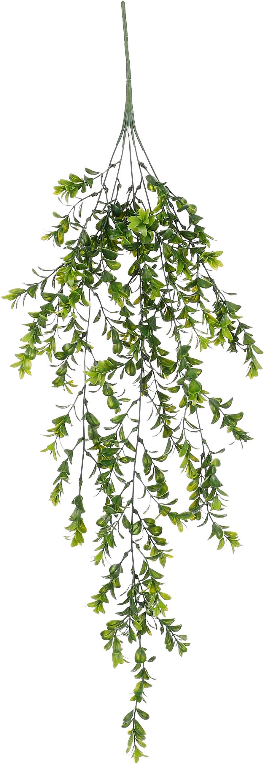 Mica Decorations kunsthangplant Buxus groen D 20 H 80 cm