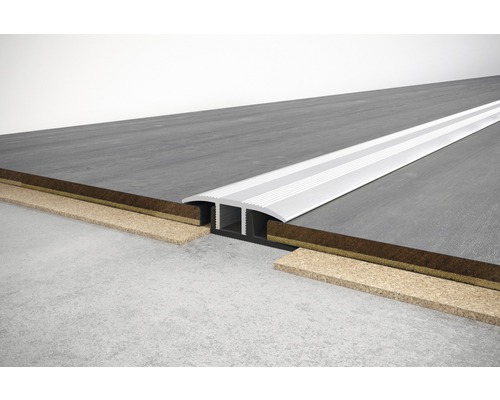 SKANDOR overgangsprofiel, zilver geanodiseerd, inclusief cliprail, 11x34x900 mm