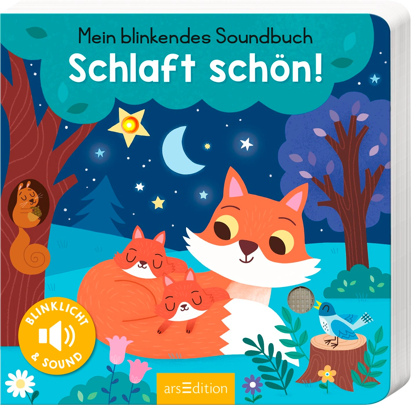 Mein blinkendes Soundbuch - Schlaft schön!