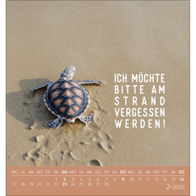 Postkartenkalender - 2025 - Urlaubsreif
