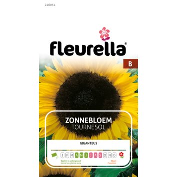 Fleurella zaden zonnebloem giganteus