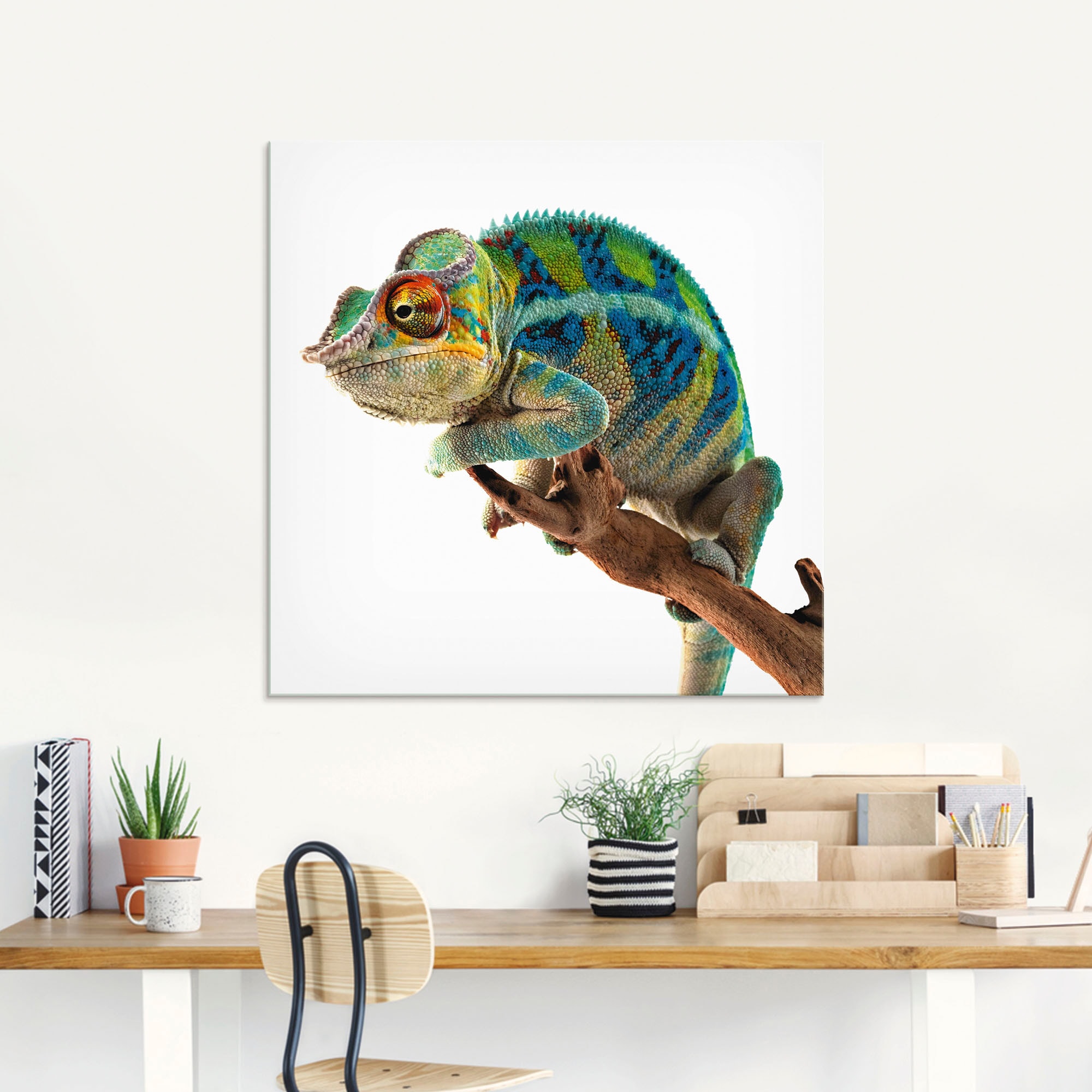 Artland Glasbild »Ambanja Panther Chamäleon« Reptilien 1 Stk. tlg. in verschiedenen Grössen
