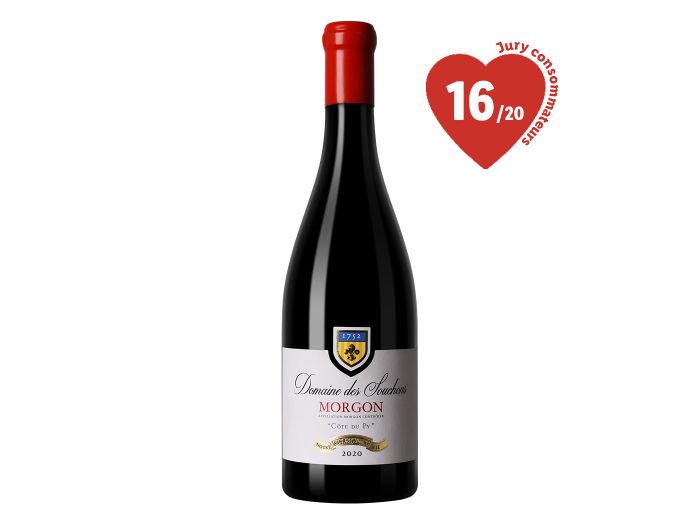 Morgon - AOP - 2019 Domaine des Souchons Côte du Py Rouge