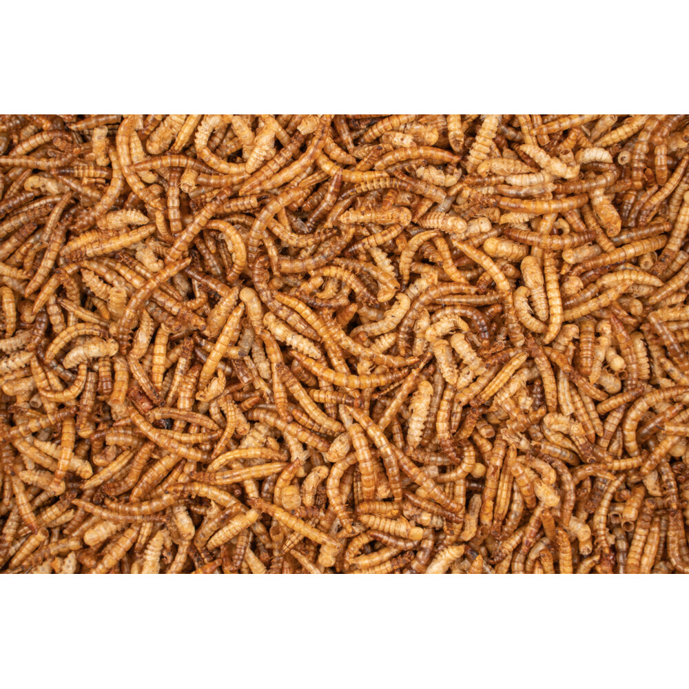 Deli Nature Chix Meelwormen200 gr
