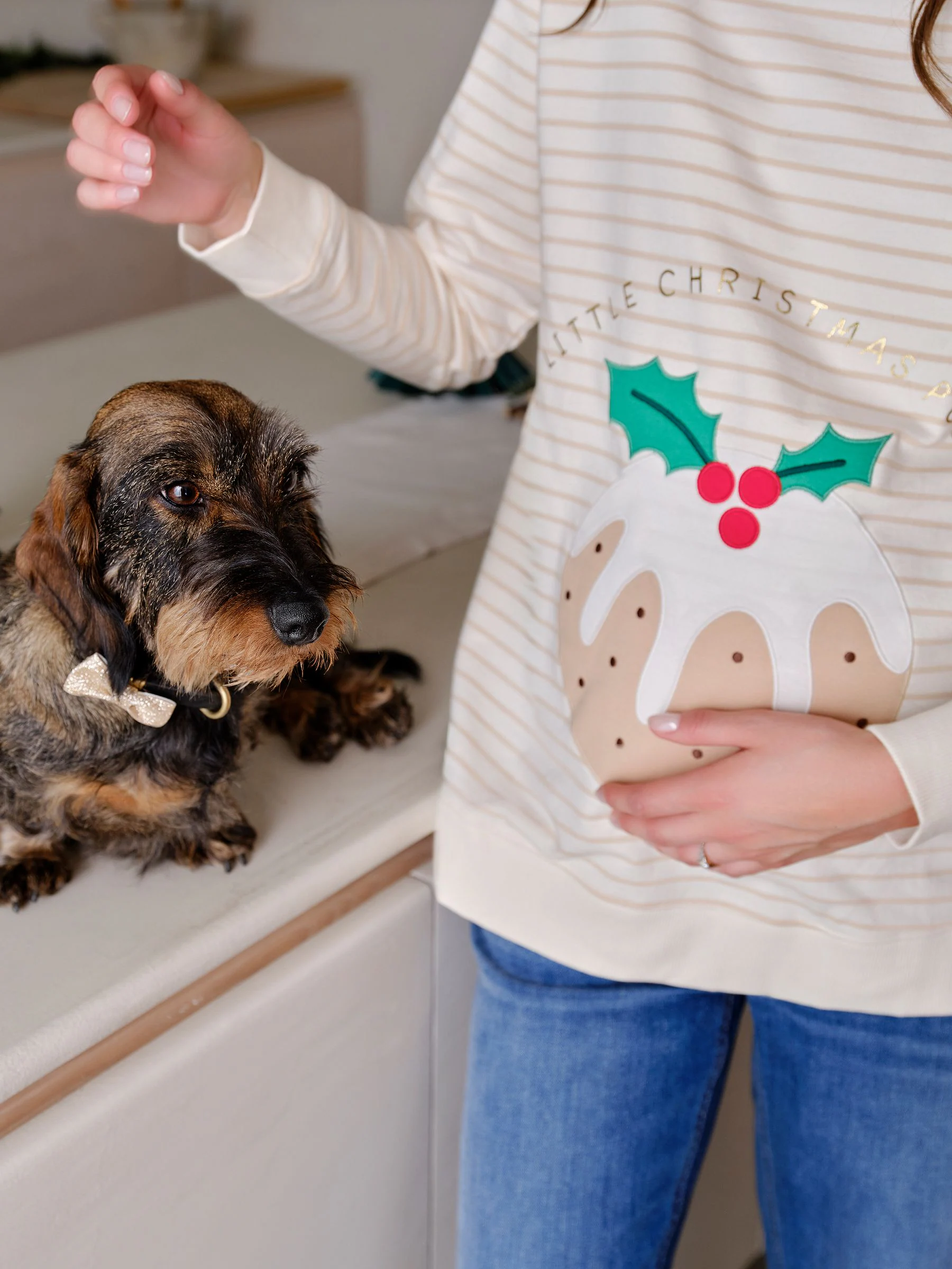 JoJo Maman Bébé zwangerschapssweatshirt met kerstpudding