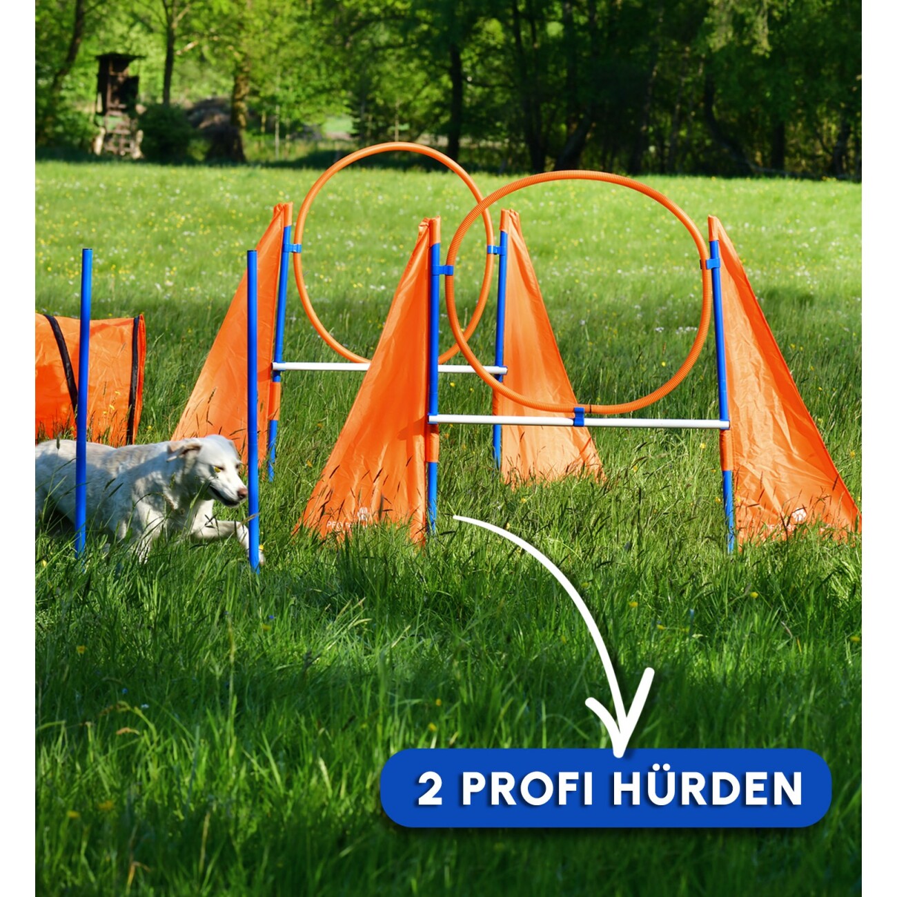 PfotenWunder® 2x Agility-PROFI-Hürden XXL-Profi-Set