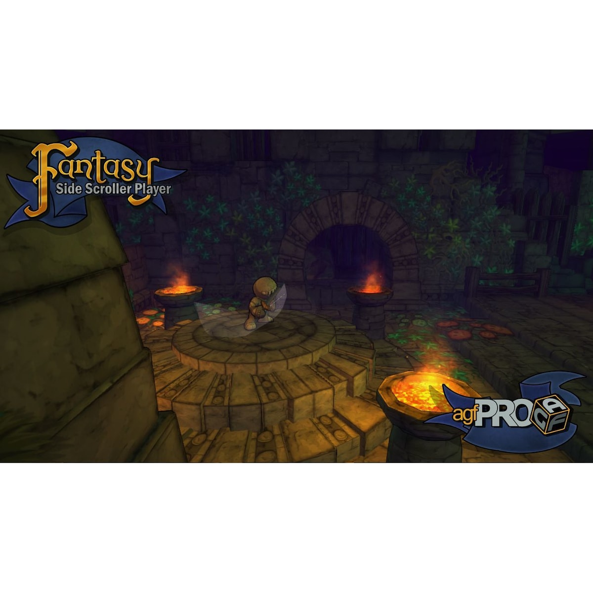 Axis Game Factory s AGFPRO Fantasy Side-Scroller Player - PC Windows,M