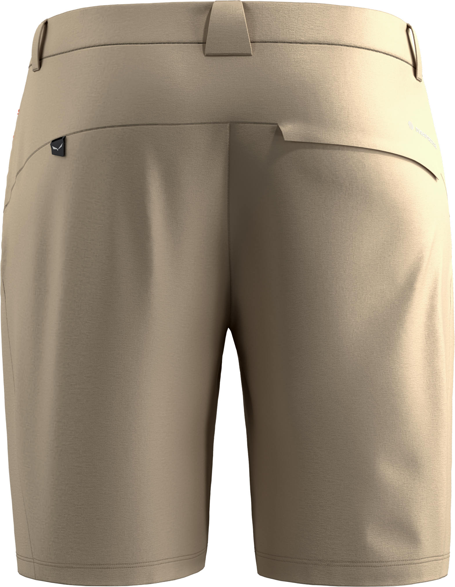 Salewa Puez Talveno Dst Shorts M's