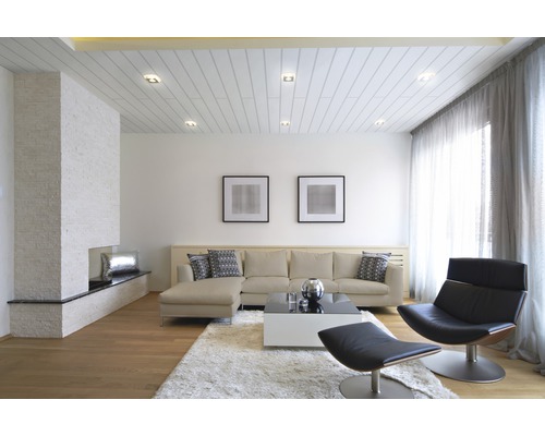 Decoratief paneel, effen wit, 10x150x2600 mm