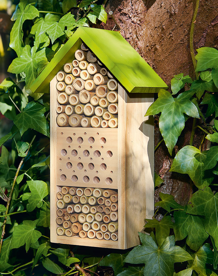 Expedition Natur Bienenhotel