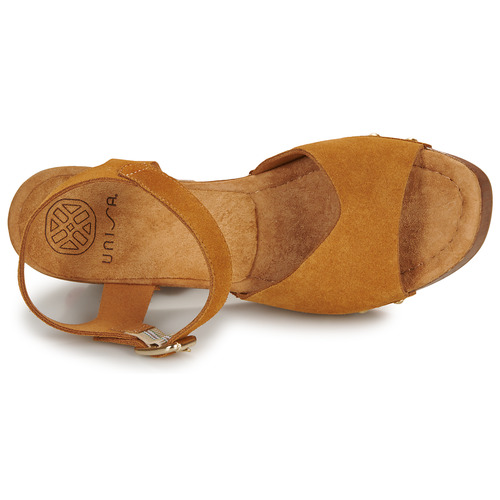 Unisa - TACO - Camel