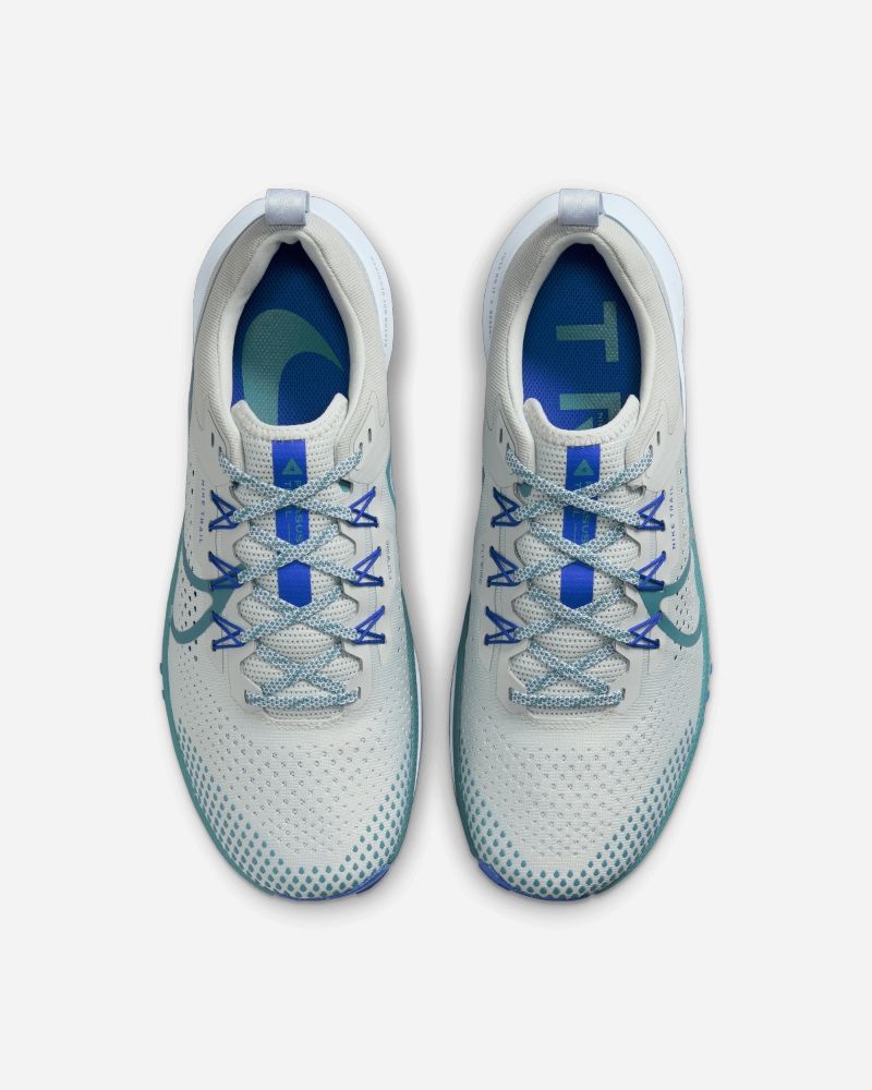 Chaussures de trail Nike Pegasus Trail 4 Blanc pour homme