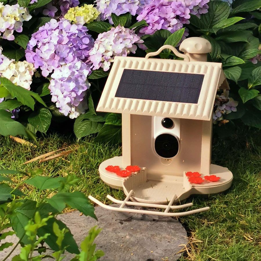 HiBird - WiFi Smart fuglefoderhus, 1080HD kamera og AI fuglegenkendelse - (HB-5543)