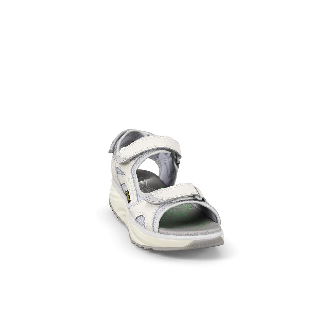 Joya Komodo SR Womens White