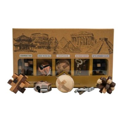 True Genius Set Of 5 Brainteaser Puzzles