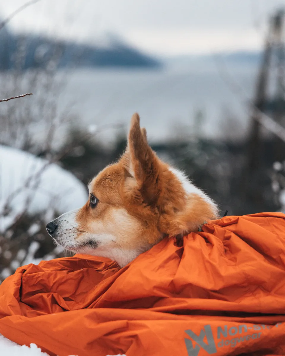 Non-stop Dogwear Bivvy Bag Orange Medium