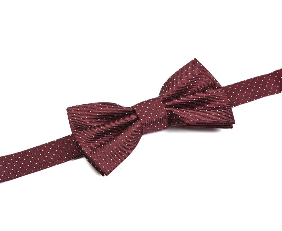 Noeud Papillon Soie Micro Pois Bordeaux et Bleu Ciel
