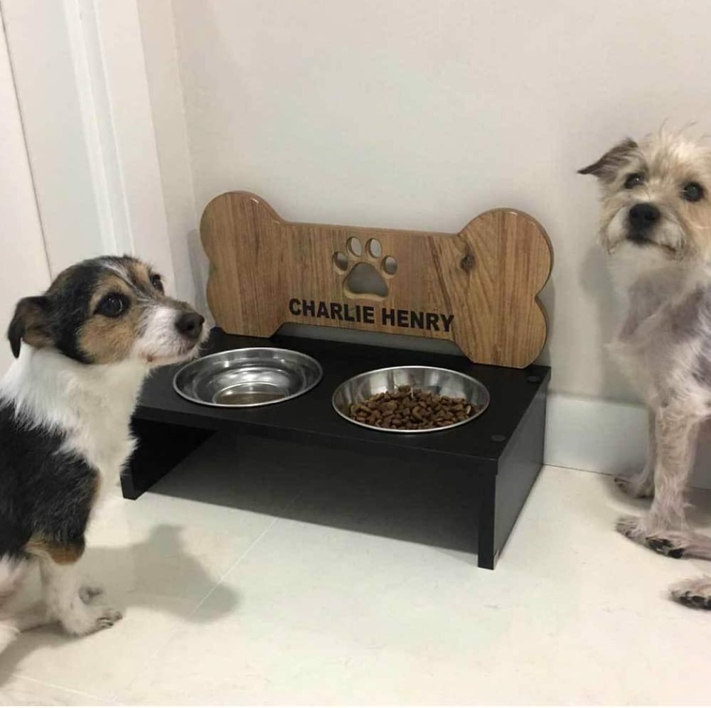 Double gamelle avec support pour chien (noir)