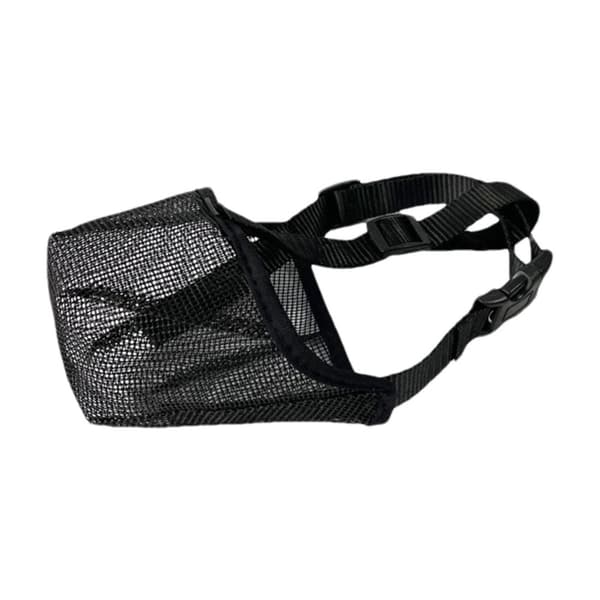 INF Hundesnuten i nylon Sort  L