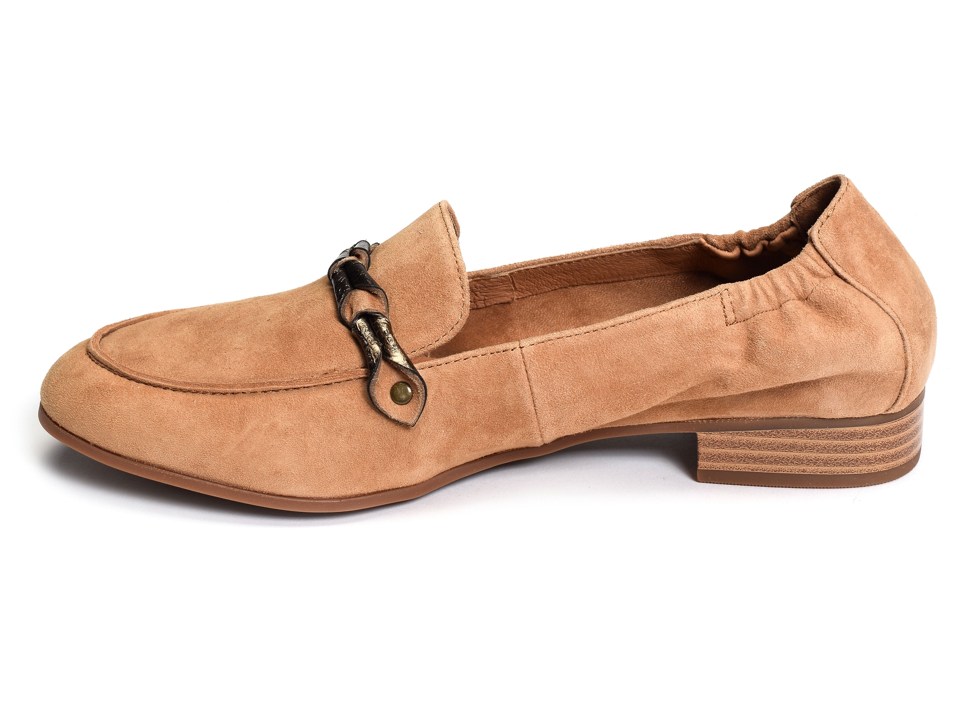 Zanga camel