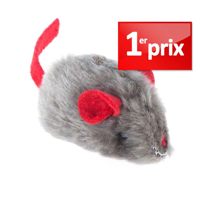 Souris sonore avec menthe à chat