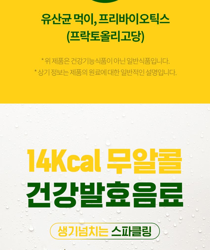Everbikini - Kombucha Gist Probiotica