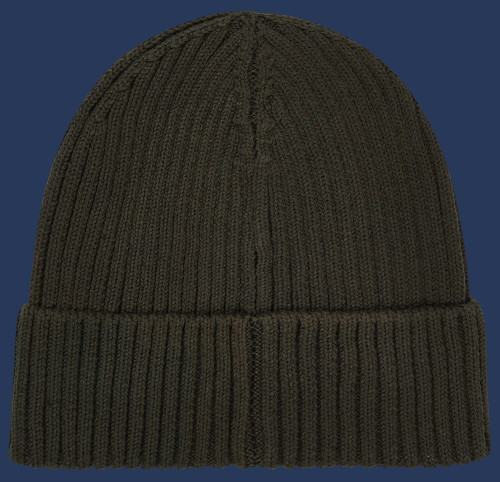 Wellenbrecher CoNiHiTec, Olive