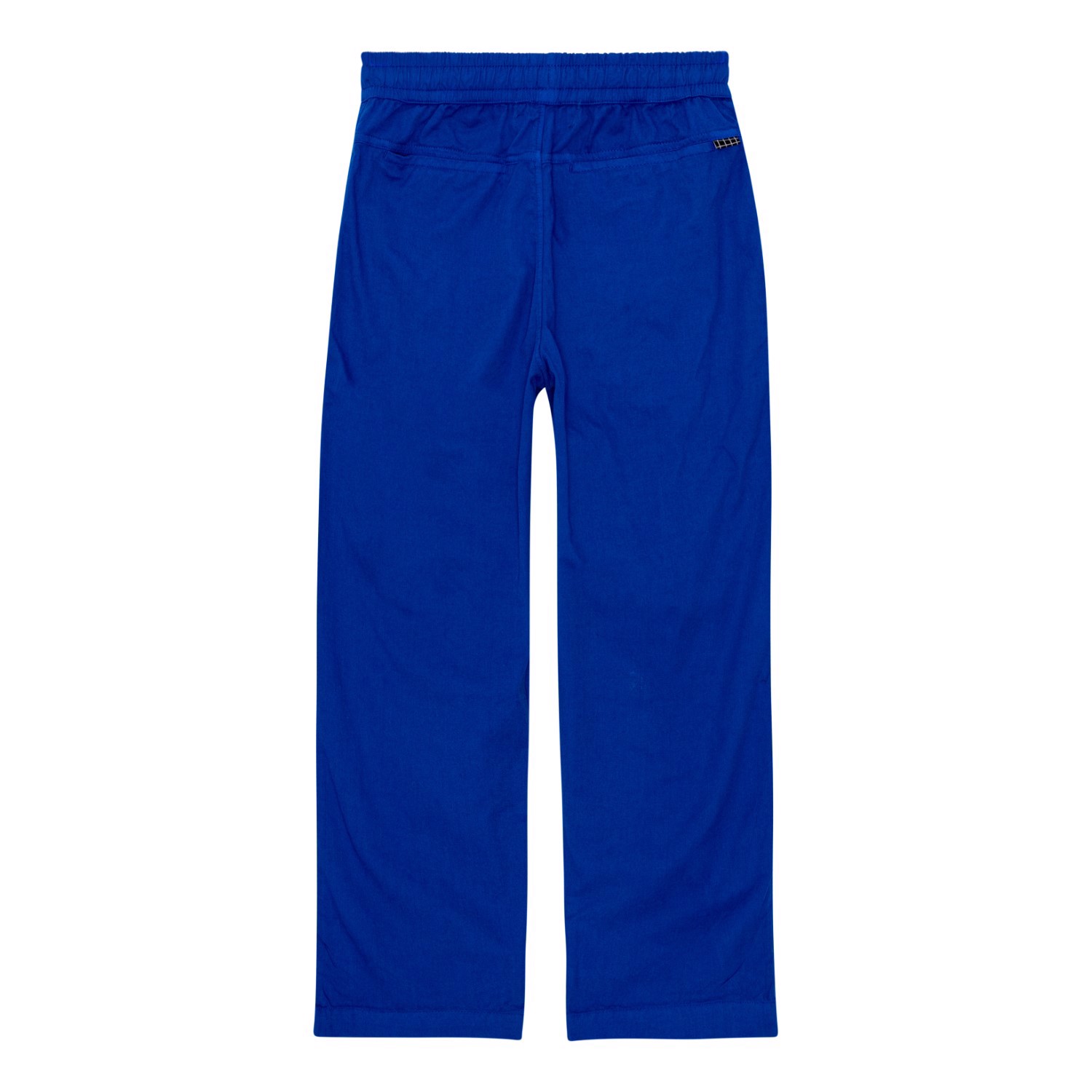 Aster - Reef Blue