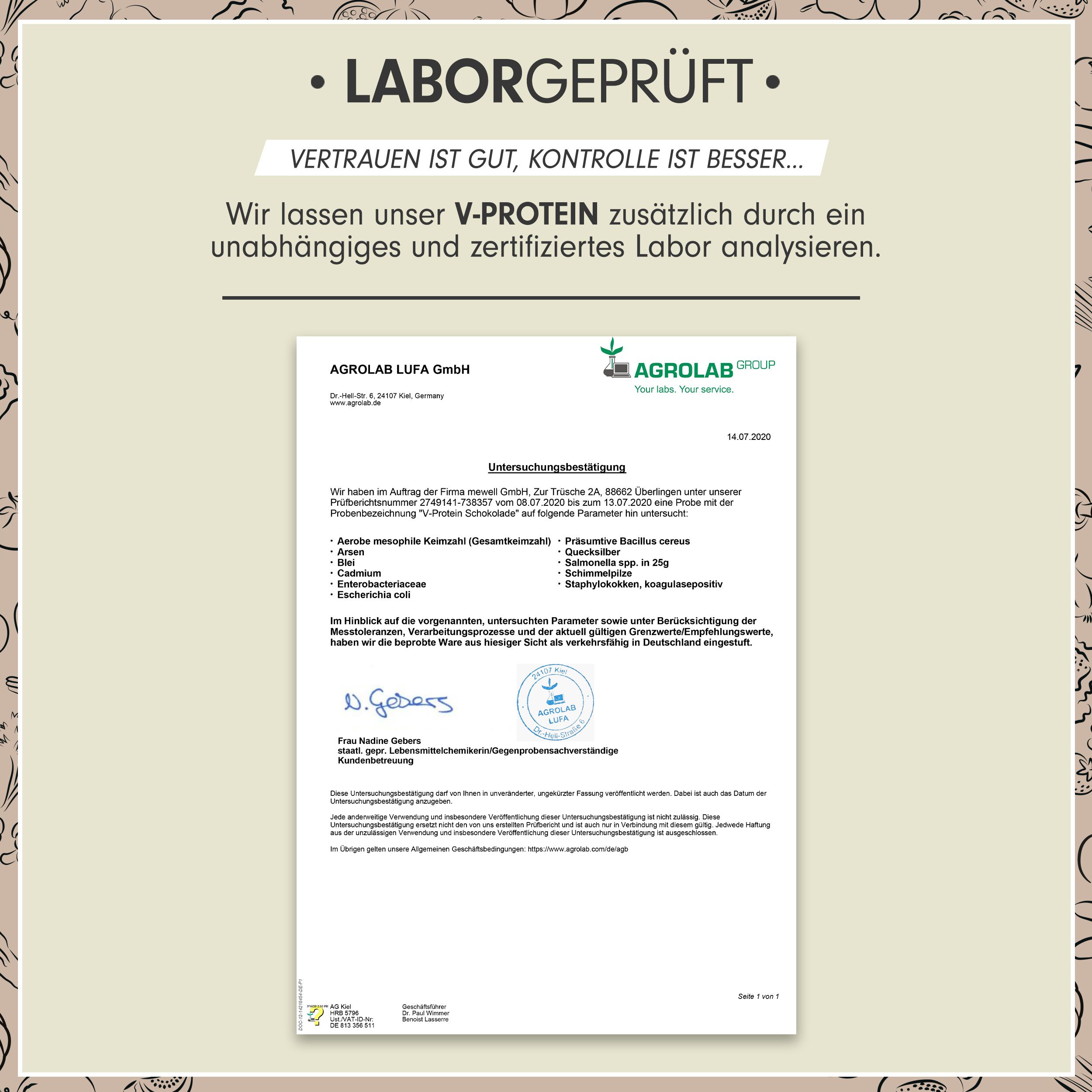 ProFuel - V-PROTEIN Classic - Haselnuss - veganes Proteinpulver mit 76% Protein