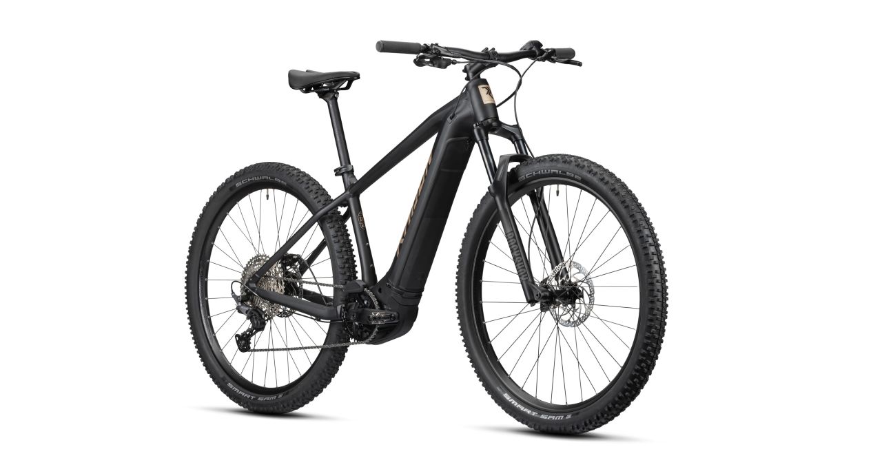 Radon Jealous Hybrid 8.0 625 kaufen | Bike-Discount