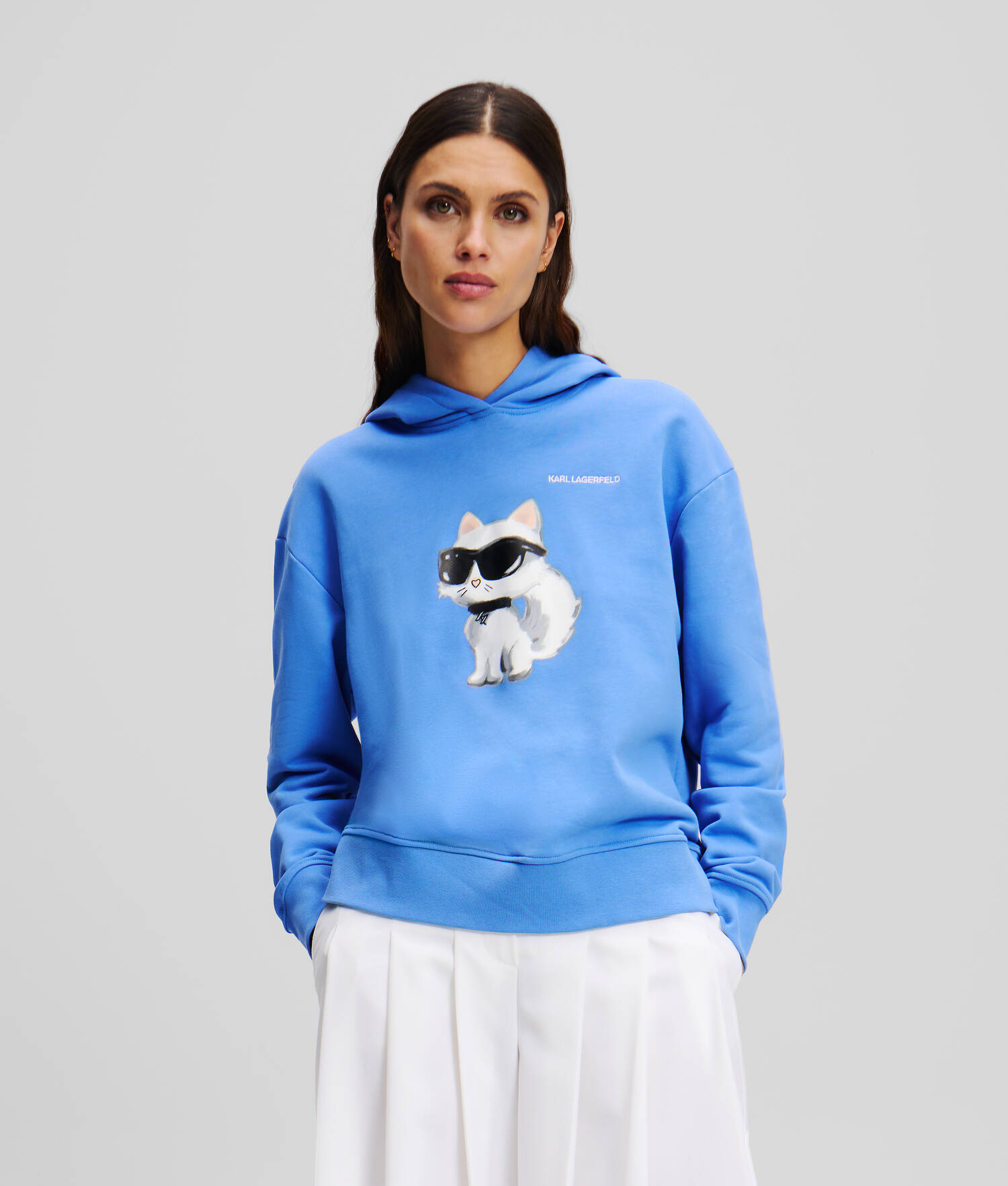 SWEATSHIRT À CAPUCHE AVEC IKON CHOUPETTE STYLE AQUARELLE - Ultramarine
