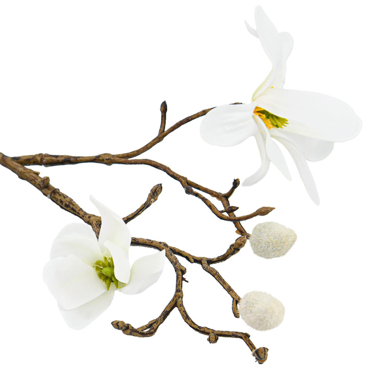 Tige courte de magnolia crème