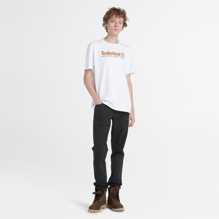 Camiseta masculina branca com estampa de vento, água, terra e céu.