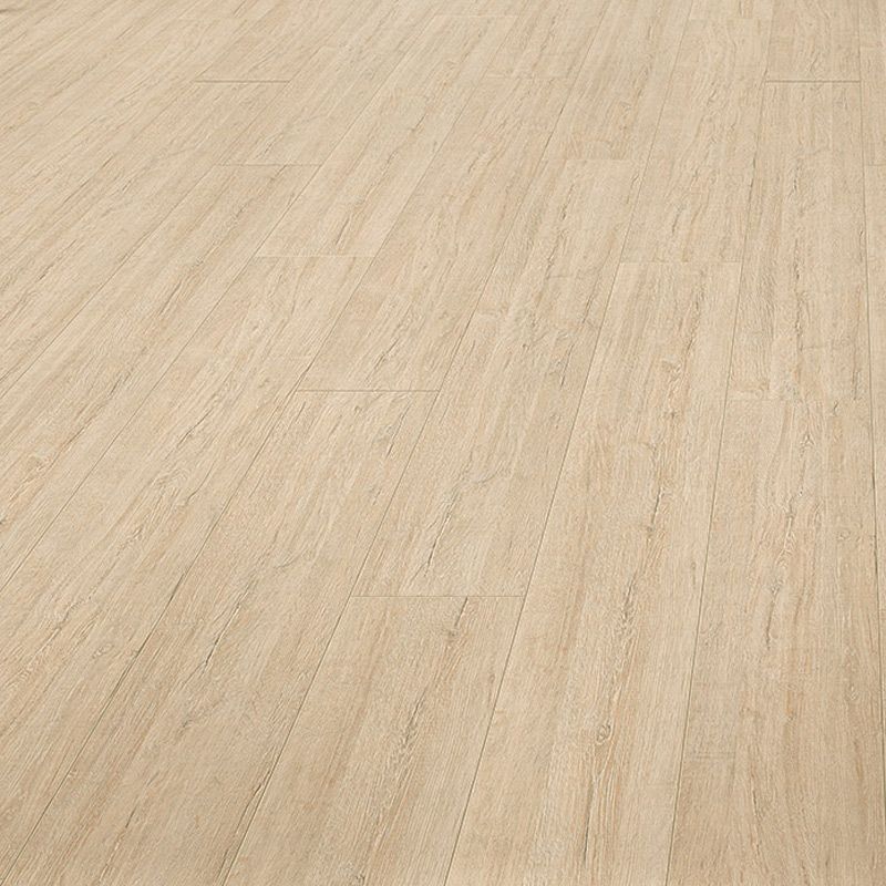 LAMINATGULV EIK FURU PISA AMBIENTA K33 1,73M²