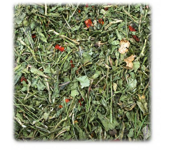 JR FARM Ergänzungsfutter Rucola & Tomate, 100