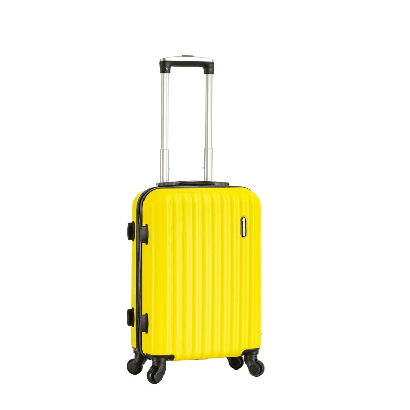 Lot valise cabine + vanity rigides 32402 Silver