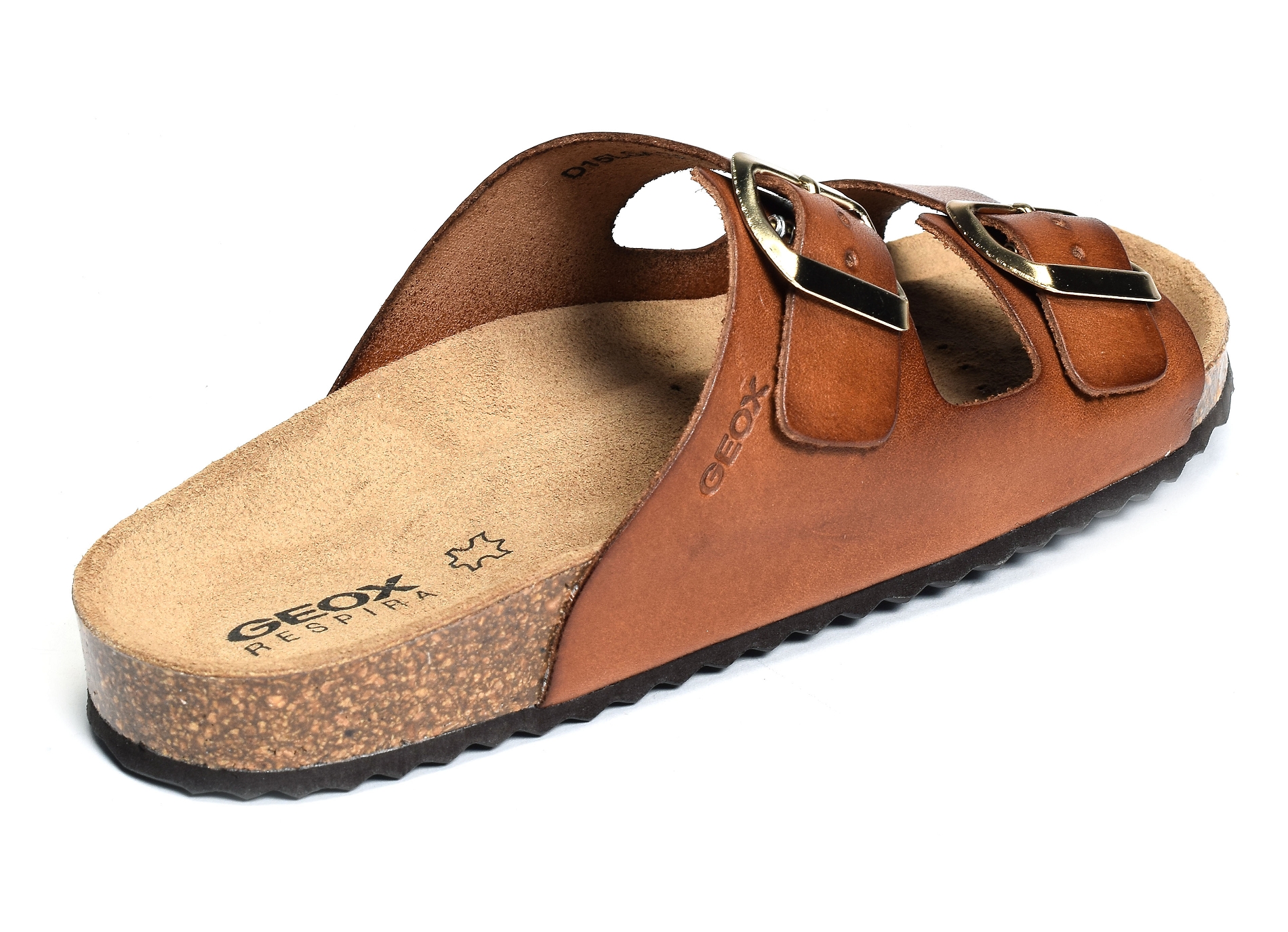 D brionia  a marron
