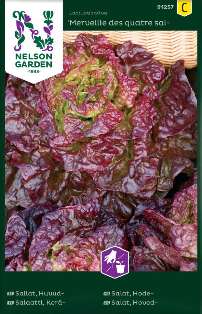 GRØNNSAKSFRØ NELSON GARDEN GRØNN HODESALAT