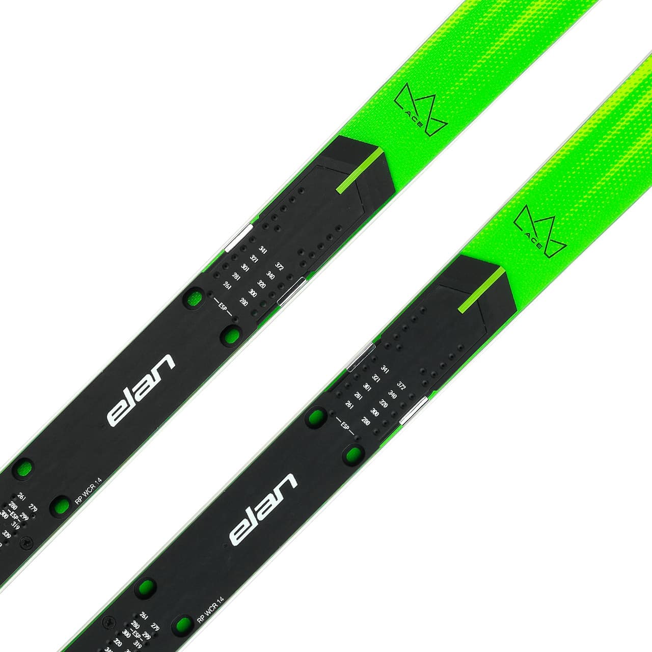 Elan ACE GSX WC Plate X | Elan FIS Rennski | Elan Skier | Elan | E | MARKEN | XSPO