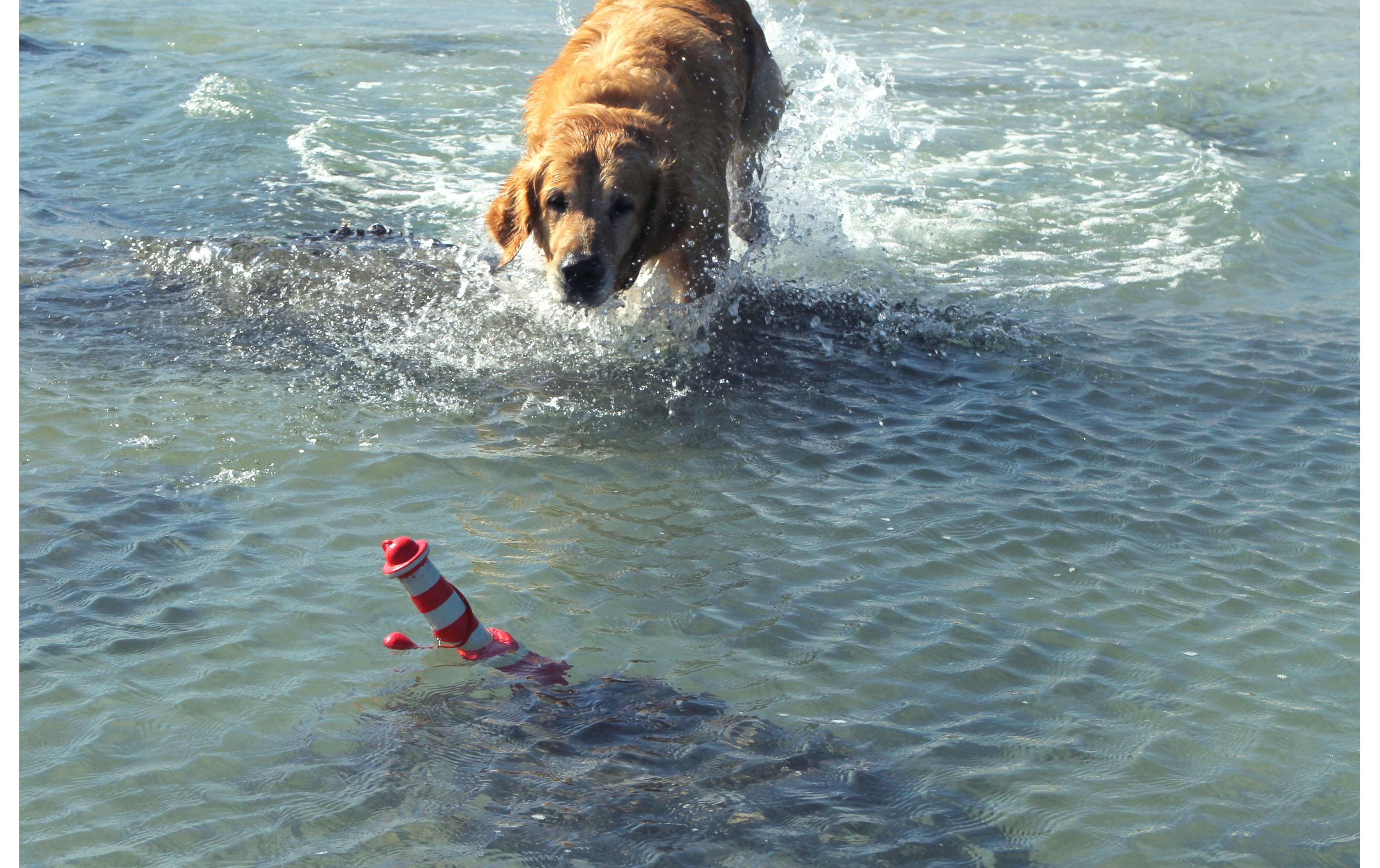 Schwimmspielzeug Lighthouse Rot-WeissSchwimmfähiges Apportierspielzeug für Hunde