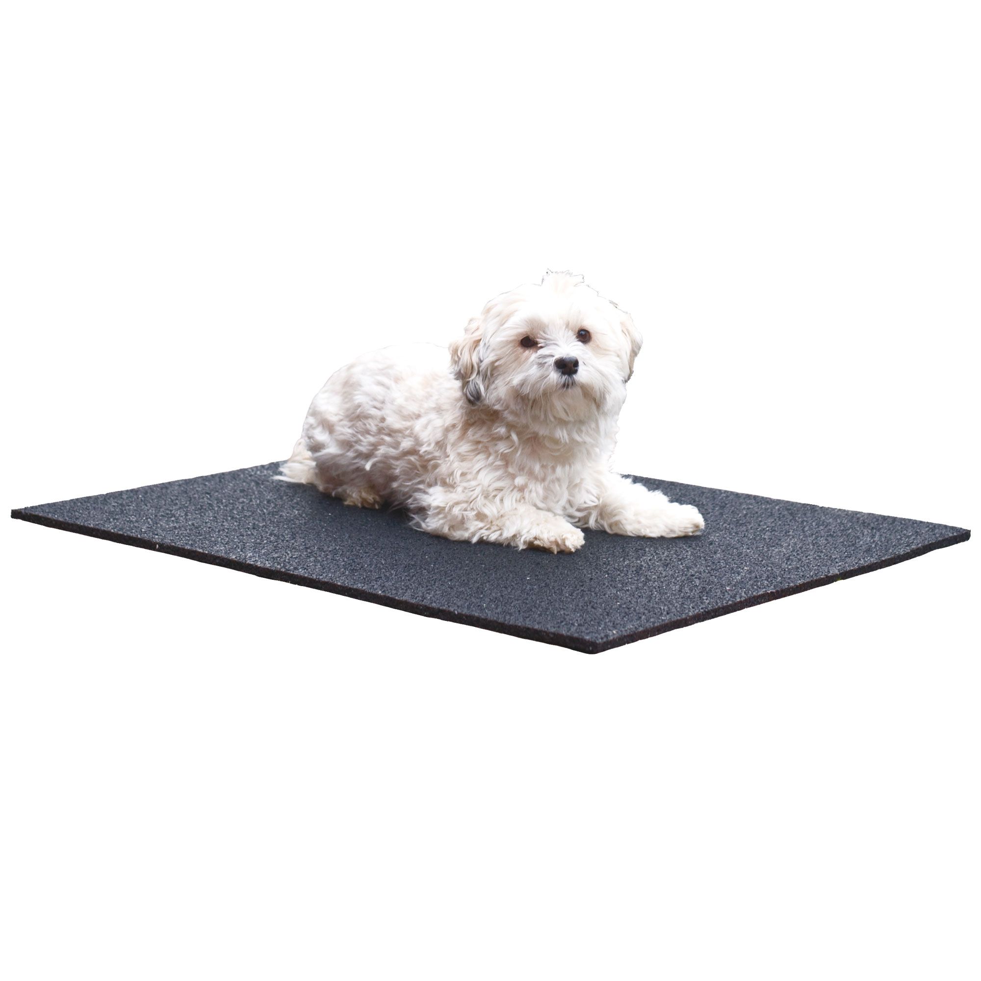 Schecker Hundematte - Iso-Matte