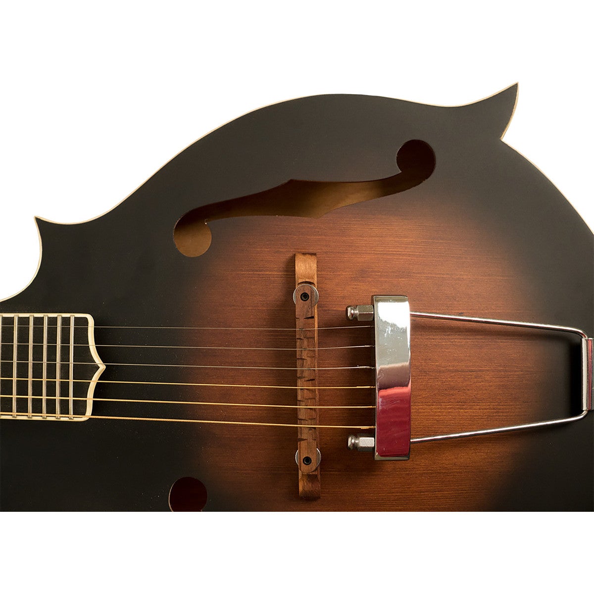 Gold Tone F-6 elektrische mando-guitar, met koffer