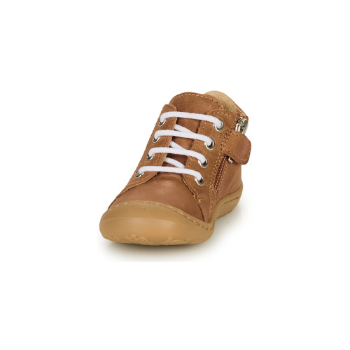 GBB - FREDDO - Cognac