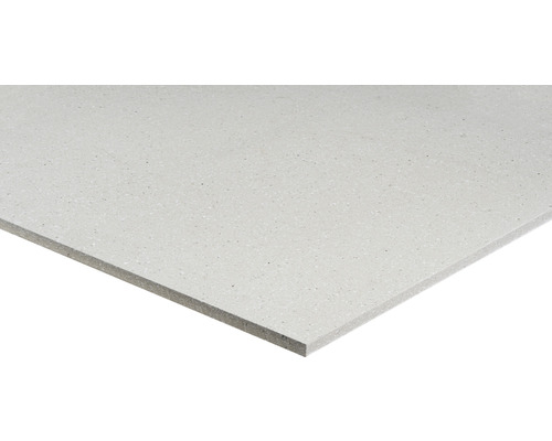 Knauf gipsvezelplaat Vidiwall 1Mann 1500 x 1000 x 10 mm