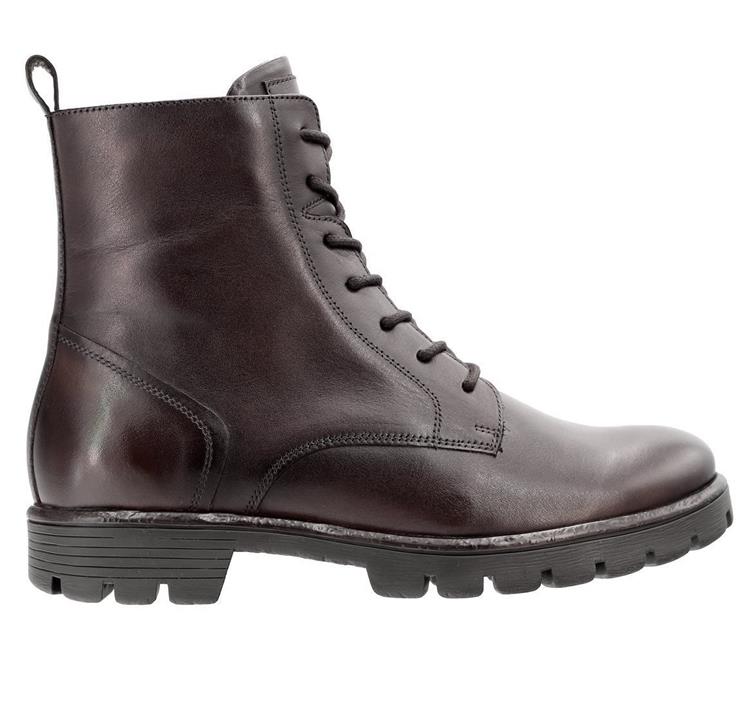 Ara 12-29607 Bristol cacao